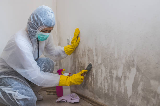 Best Residential Mold Removal  in Mocksville, NC