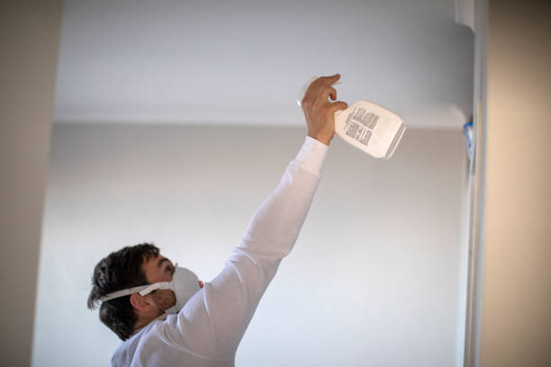 Best Office Mold Removal Services  in Mocksville, NC
