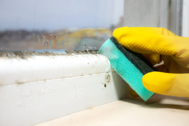Best Crawl Space Mold Removal  in Mocksville, NC