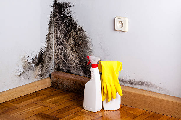 Water Damage Restoration in Mocksville, NC